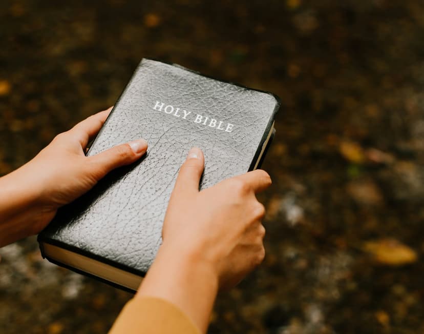 Who We Are and Where We've Been: Reading Humanity Through the Lens of Scripture